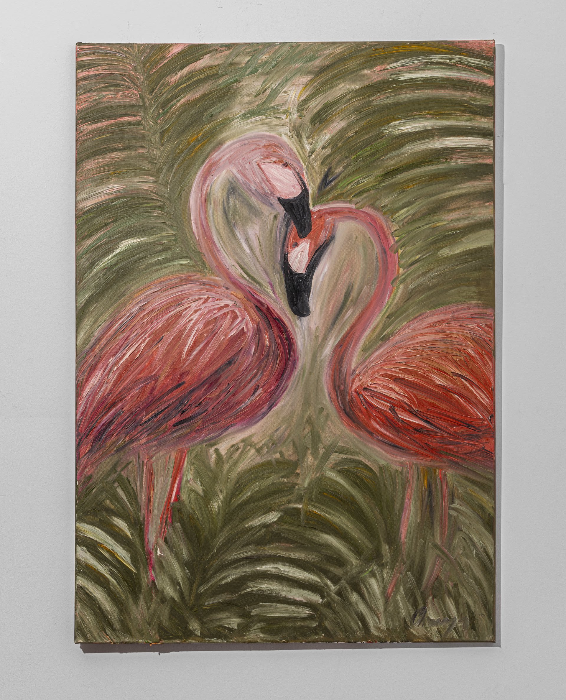 Flamingos